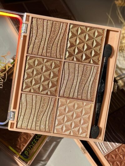 All in One Highlighter, Countour, Bronzer Professional Makeup Palette