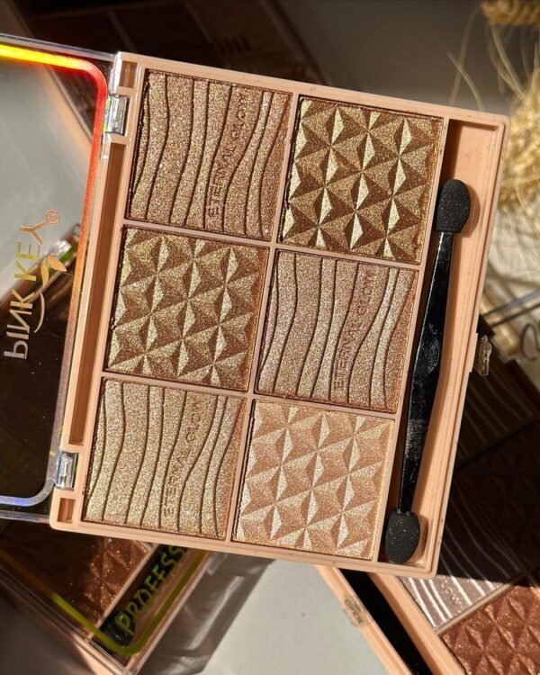 All in One Highlighter, Countour, Bronzer Professional Makeup Palette