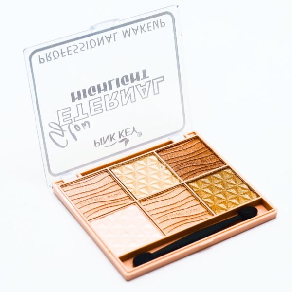 All in One Highlighter, Countour, Bronzer Professional Makeup Palette